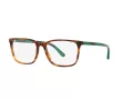 Polo Glasögon PH 2234 5017