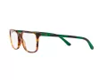Polo Glasögon PH 2234 5017