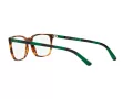 Polo Glasögon PH 2234 5017