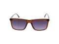 Pepe Jeans Solglasögon PJ 7433 196
