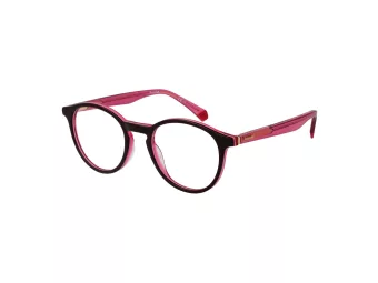 Polaroid Glasögon PLD D391 0T519