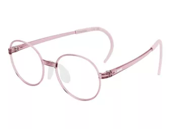 Polaroid Glasögon PLD D842 35J