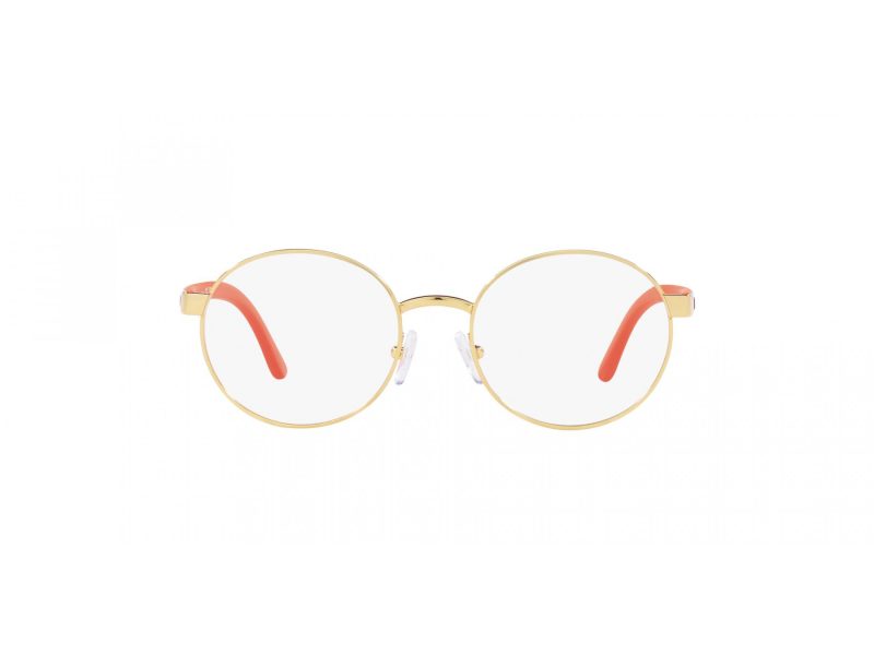 Polo Glasögon PP 8041 9411