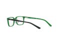 Polo Glasögon PP 8545 5613