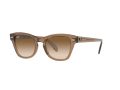 Ray-Ban Solglasögon RB 0707S 6640/51