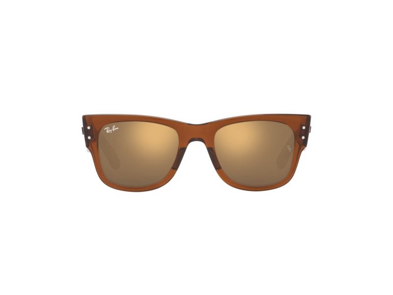 Ray-Ban Mega Wayfarer Solglasögon RB 0840S 6636/93