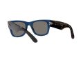 Ray-Ban Mega Wayfarer Solglasögon RB 0840S 6638/O4