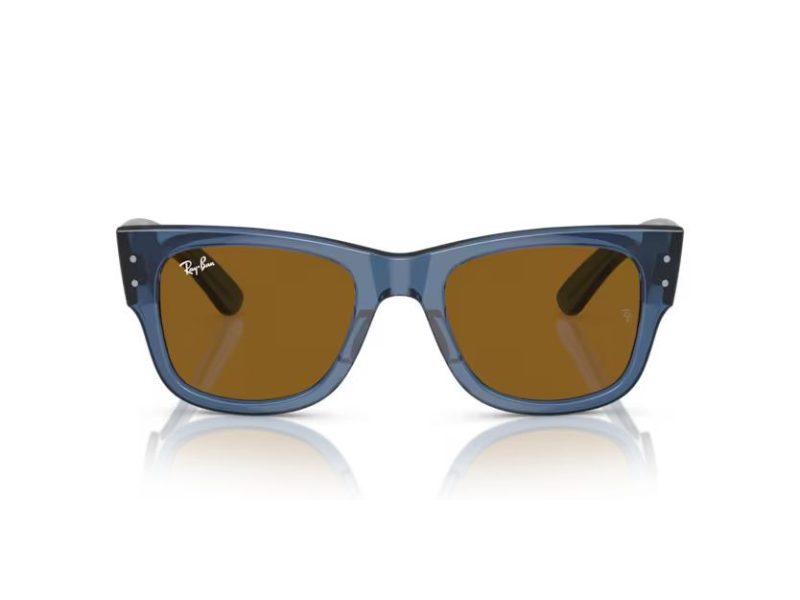 Ray-Ban Mega Wayfarer Solglasögon RB 0RB0840S 668073
