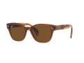 Ray-Ban Solglasögon RB 0880S 6640/57