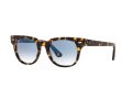 Ray-Ban Meteor Solglasögon RB 2168 1332/3F