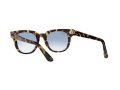 Ray-Ban Meteor Solglasögon RB 2168 1332/3F
