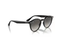 Ray-Ban Solglasögon RB 0RB2180 601/11