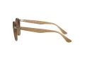 Ray-Ban Solglasögon RB 2180 616613