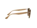 Ray-Ban Solglasögon RB 2180 616613