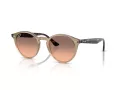 Ray-Ban Solglasögon RB 2180 678846