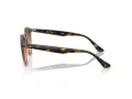 Ray-Ban Solglasögon RB 2180 678846
