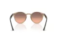 Ray-Ban Solglasögon RB 2180 678846