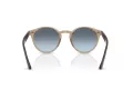 Ray-Ban Solglasögon RB 2180 6788V1