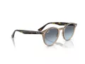 Ray-Ban Solglasögon RB 2180 6788V1