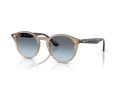 Ray-Ban Solglasögon RB 2180 6788V1