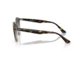 Ray-Ban Solglasögon RB 2180 6788V1