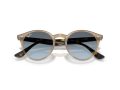 Ray-Ban Solglasögon RB 2180 6788V1