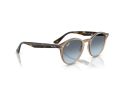Ray-Ban Solglasögon RB 2180 6788V1