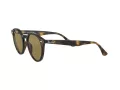 Ray-Ban Solglasögon RB 2180 710/73