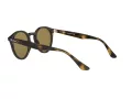 Ray-Ban Solglasögon RB 2180 710/73