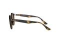 Ray-Ban Solglasögon RB 2180 710/83