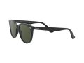 Ray-Ban Wayfarer Ii Solglasögon RB 2185 901/31