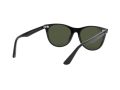 Ray-Ban Wayfarer Ii Solglasögon RB 2185 901/31