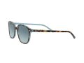 Ray-Ban Leonard Solglasögon RB 2193 1316/3M