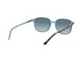 Ray-Ban Leonard Solglasögon RB 2193 1316/3M