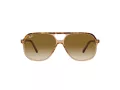 Ray-Ban Bill Solglasögon RB 2198 129251