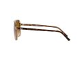 Ray-Ban Bill Solglasögon RB 2198 1292/51