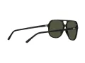 Ray-Ban Bill Solglasögon RB 2198 901/31