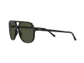 Ray-Ban Bill Solglasögon RB 2198 901/31