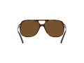 Ray-Ban Bill Solglasögon RB 2198 902/57