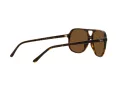 Ray-Ban Bill Solglasögon RB 2198 902/57