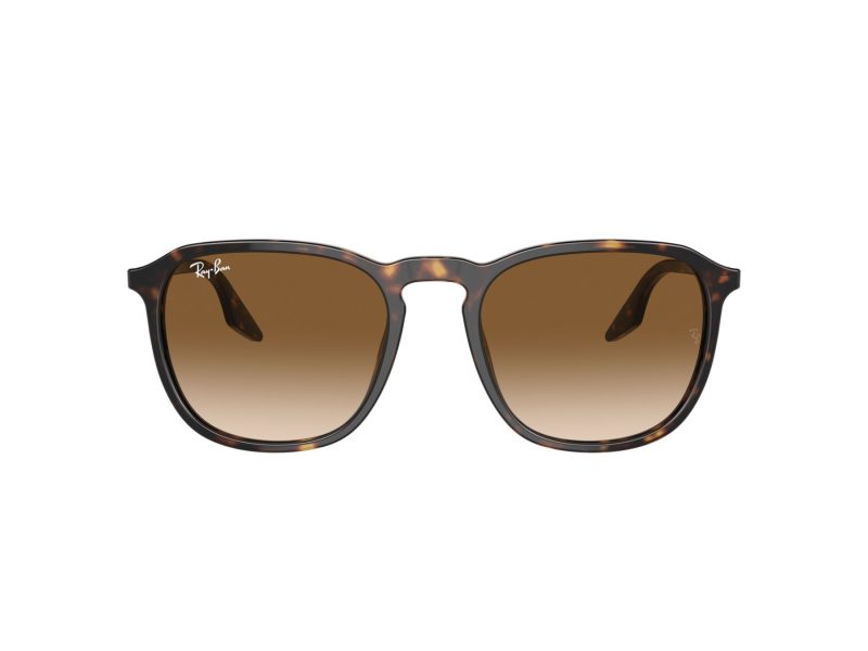 Ray-Ban Solglasögon RB 0RB2203 902/51