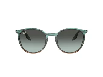 Ray-Ban Solglasögon RB 0RB2204 1394GK