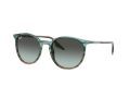 Ray-Ban Solglasögon RB 0RB2204 1394GK