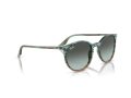 Ray-Ban Solglasögon RB 0RB2204 1394GK