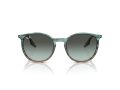 Ray-Ban Solglasögon RB 0RB2204 1394GK