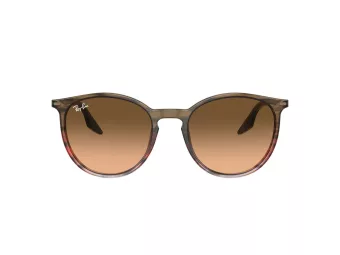 Ray-Ban Solglasögon RB 0RB2204 13953B