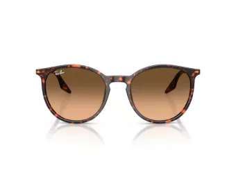 Ray-Ban Solglasögon RB 2204 14293B