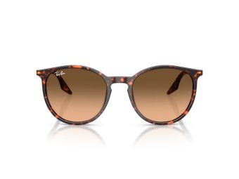 Ray-Ban Solglasögon RB 2204 14293B