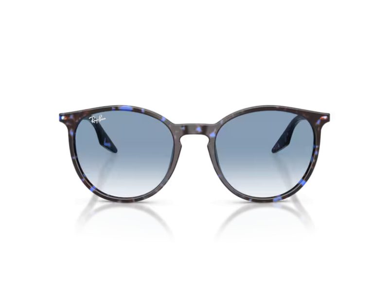 Ray-Ban Solglasögon RB 2204 14303F