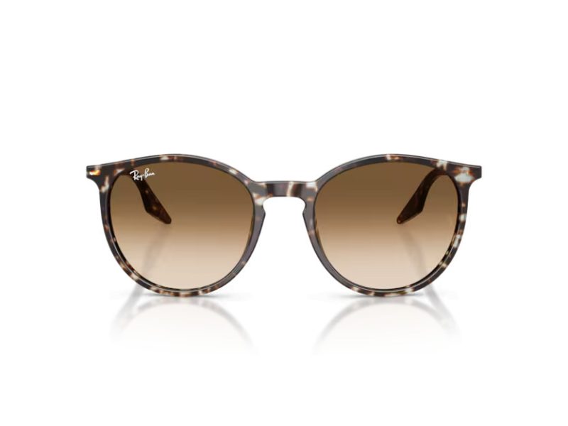 Ray-Ban Solglasögon RB 2204 143151